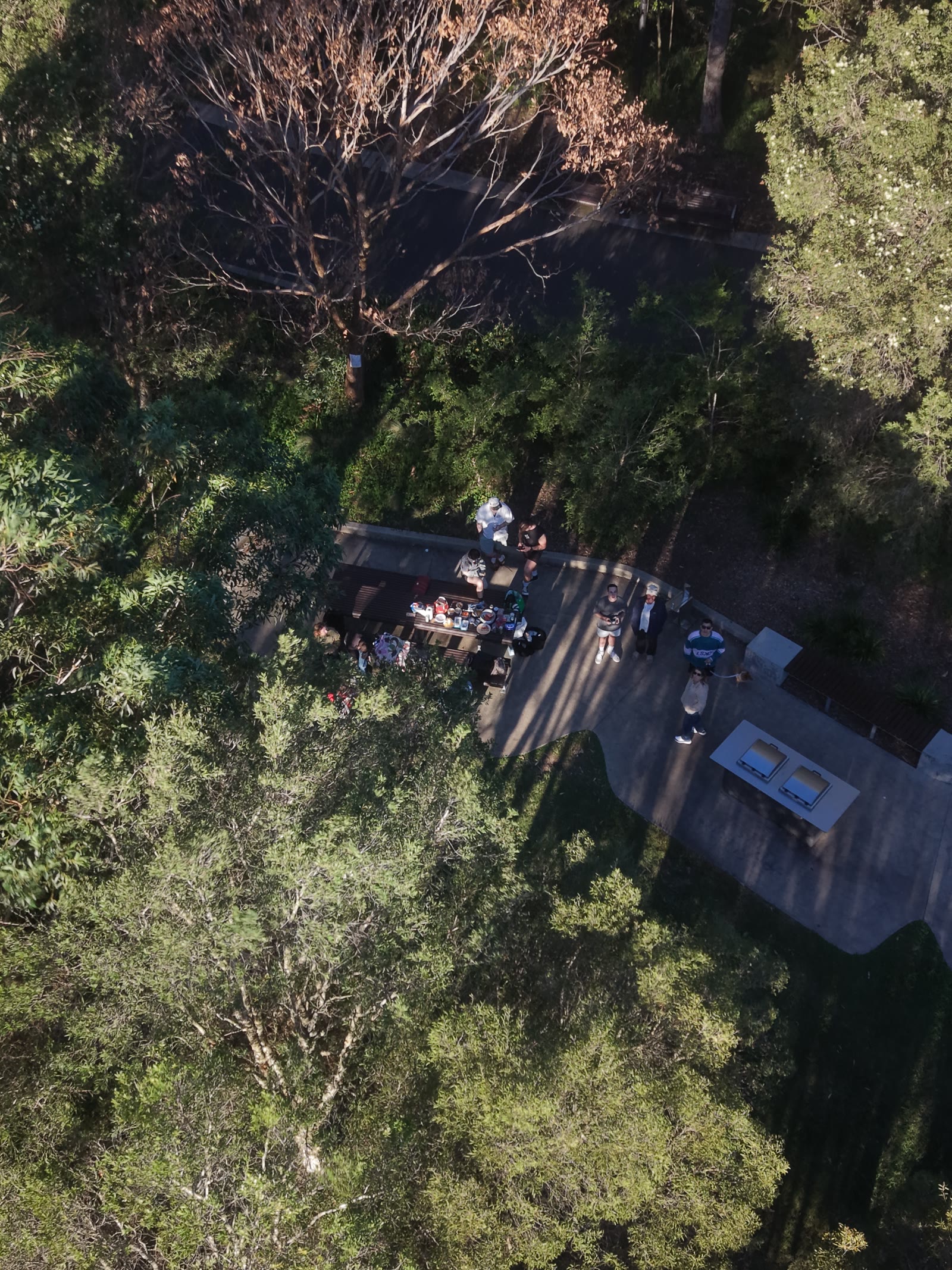 Aerial drone photograph